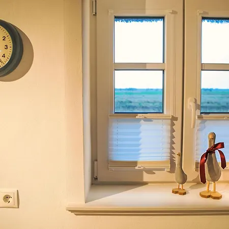 Backbord By Interhome